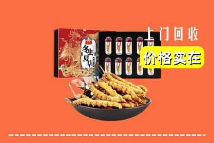 青岛平度市回收冬虫夏草